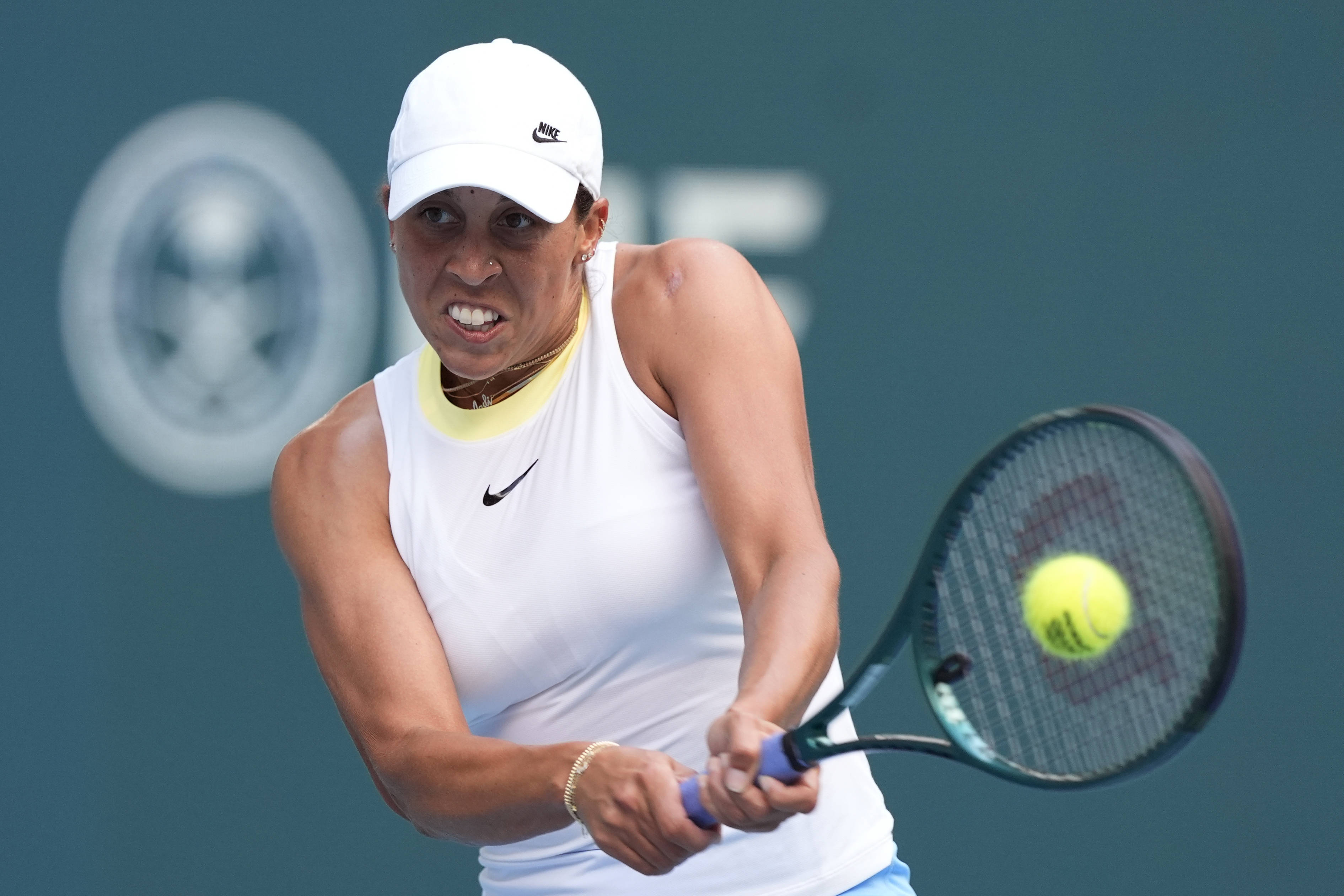 不仅展现了 不仅展现了